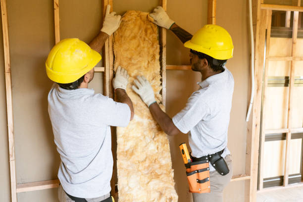 Types of Insulation We Offer in Orlando, FL